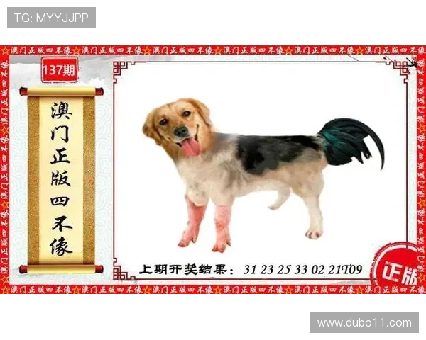 探索澳彩一码默认版块网站的精彩功能与优势